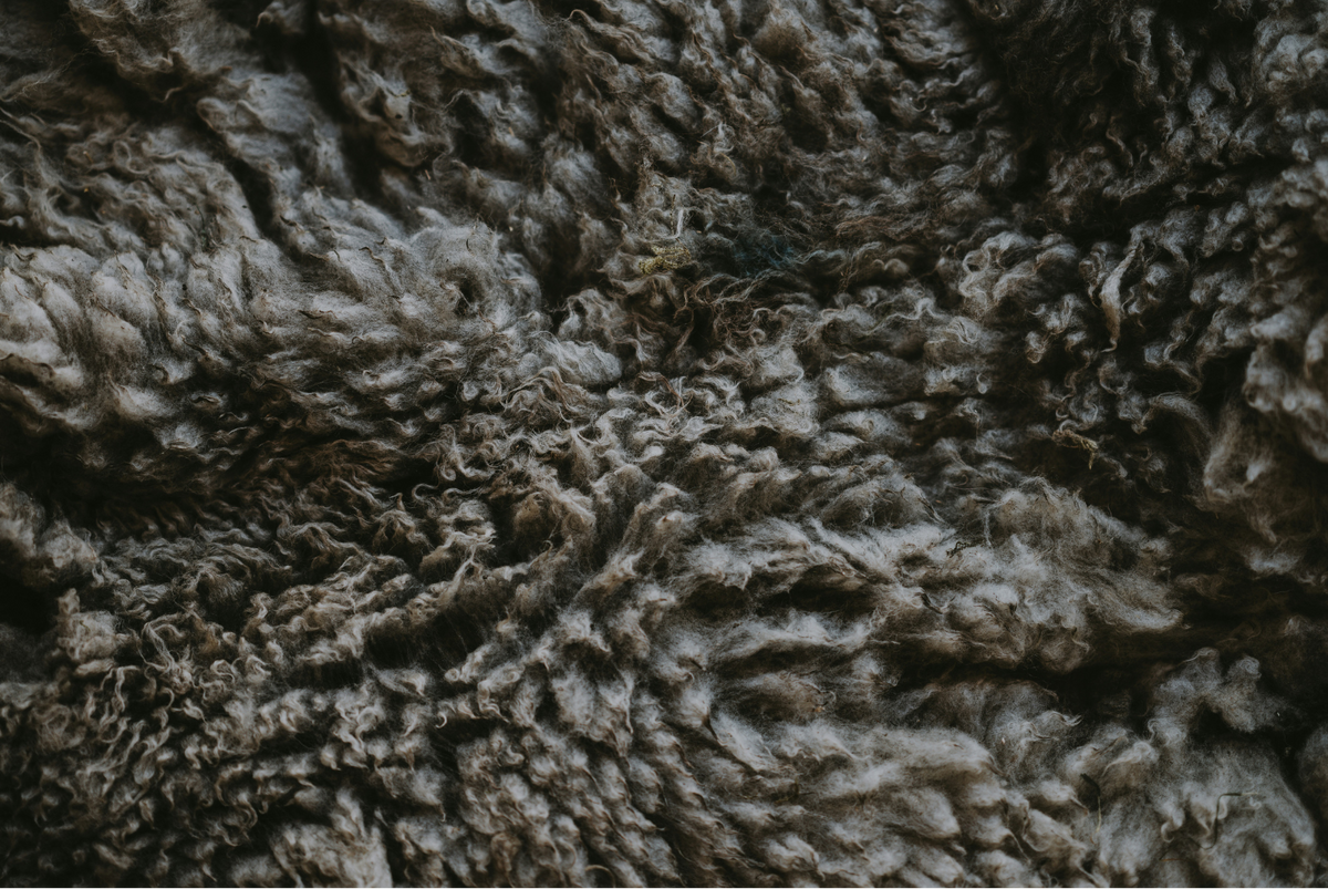 Macro detail of fluffy, natural white Lavalan® sheep wool insulation. A petroleum-free, dye-free European alternative to synthetic padding.